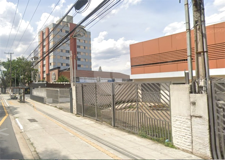 Foto REO1074394