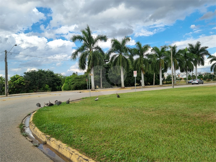 Foto REO1074420