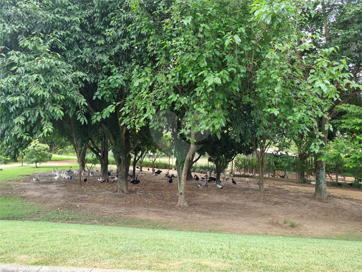 Foto REO1074420