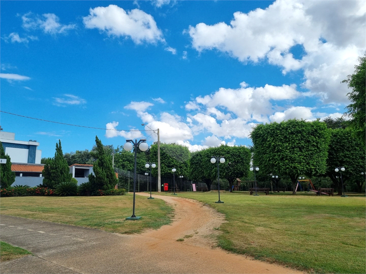 Foto REO1074420