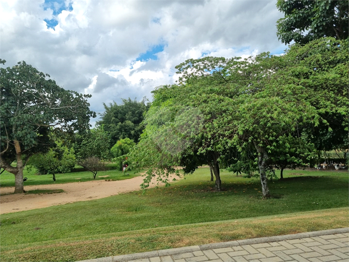 Foto REO1074420