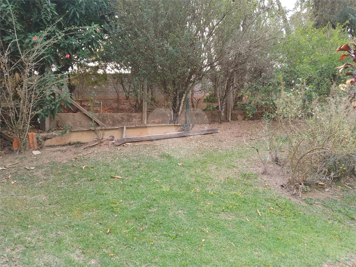 Foto REO1074439