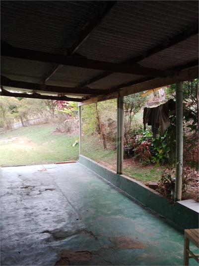 Foto REO1074439