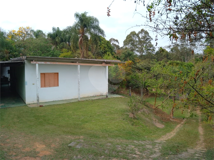 Foto REO1074439