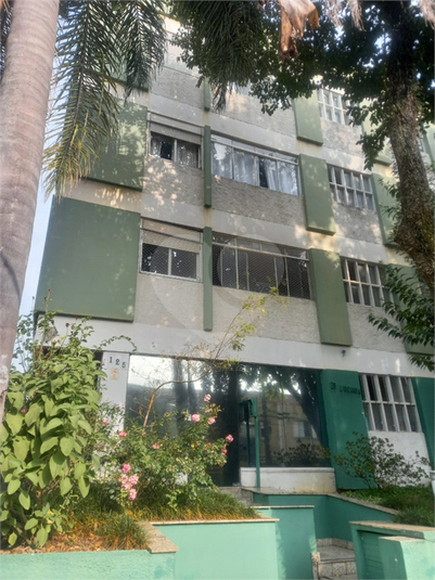 Foto REO1074449