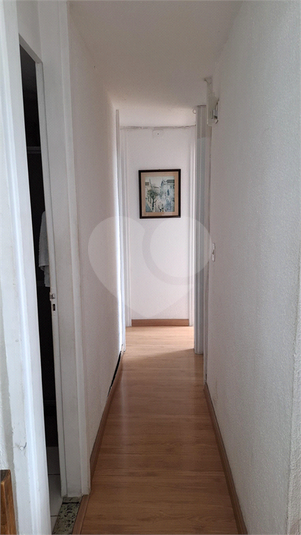 Foto REO1074454