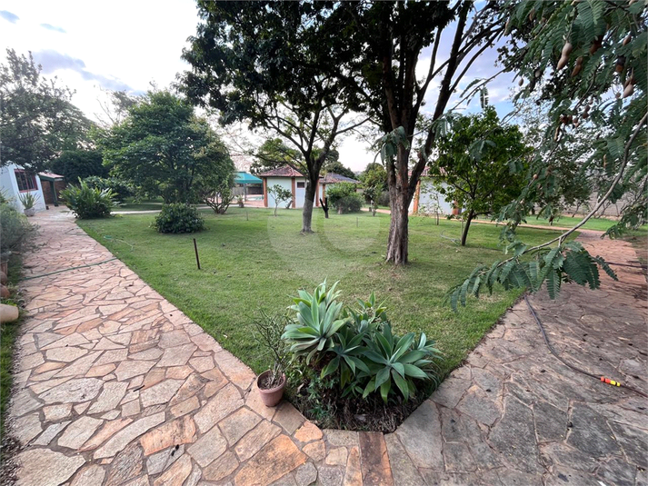 Foto REO1074461