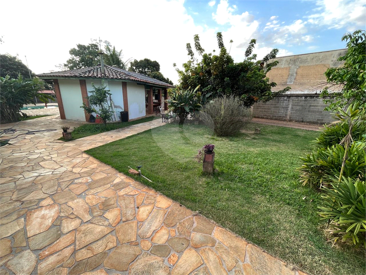 Foto REO1074461