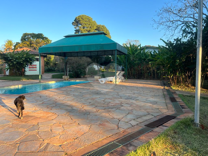Foto REO1074461