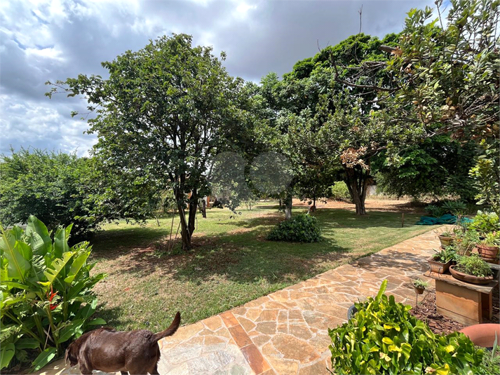Foto REO1074461