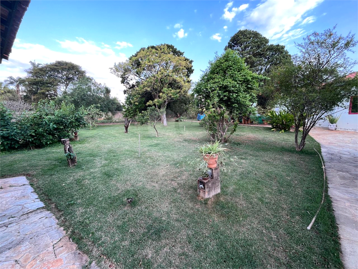 Foto REO1074461