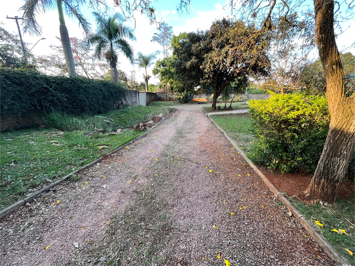 Foto REO1074461