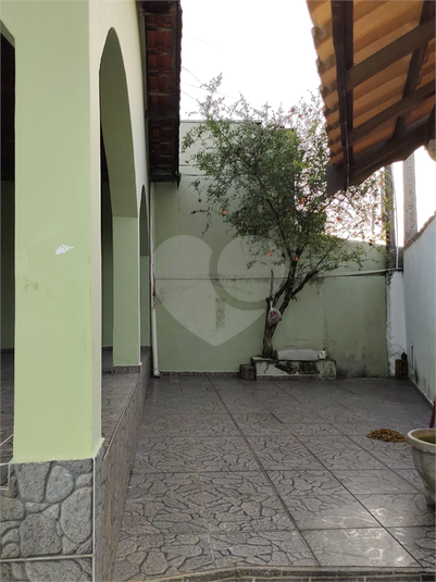 Foto REO1074481