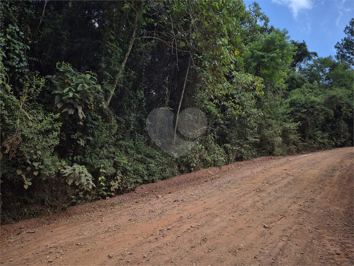 Foto REO1074483