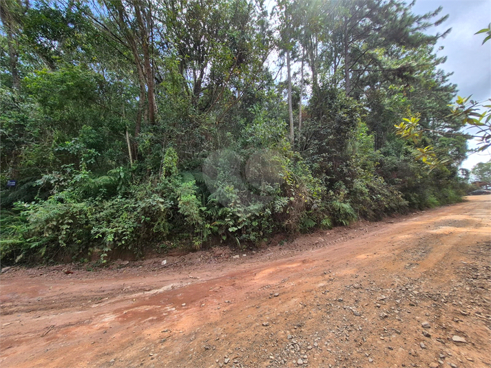 Foto REO1074483