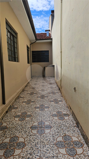 Foto REO1074520