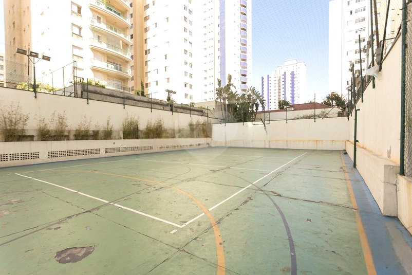 Foto REO1074521