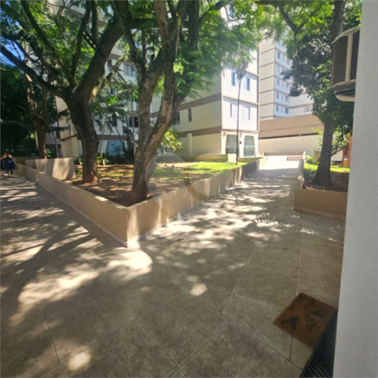 Foto REO1074538