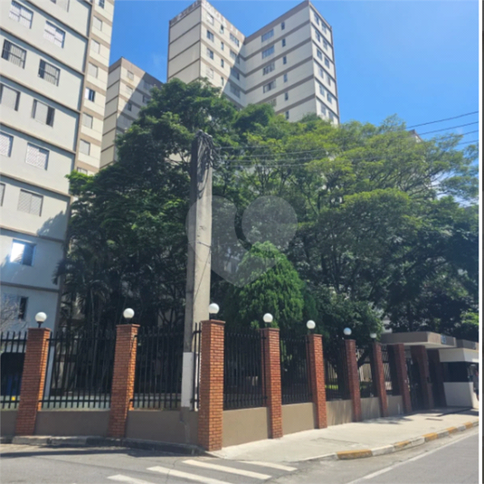 Foto REO1074538