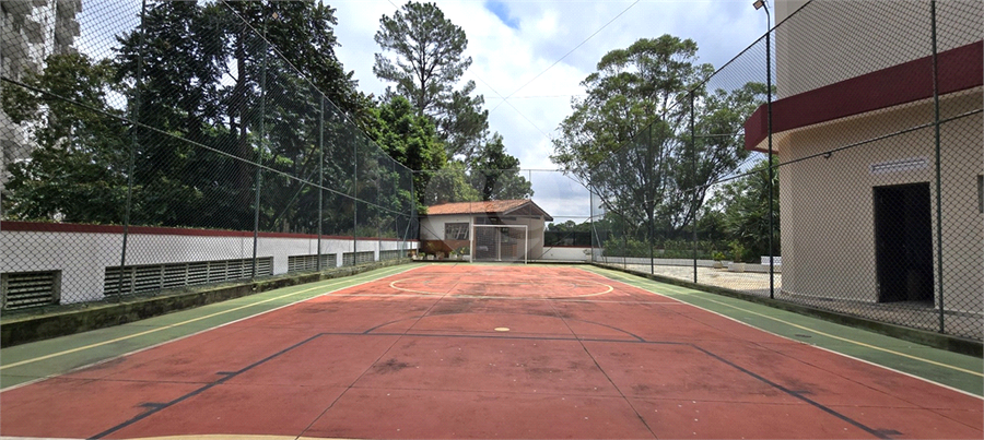 Foto REO1074542