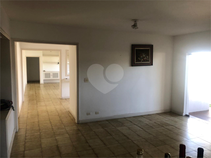 Foto REO1074551