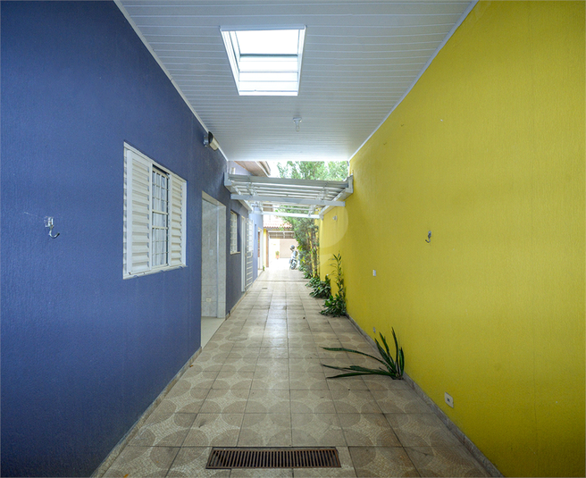 Foto REO1074554
