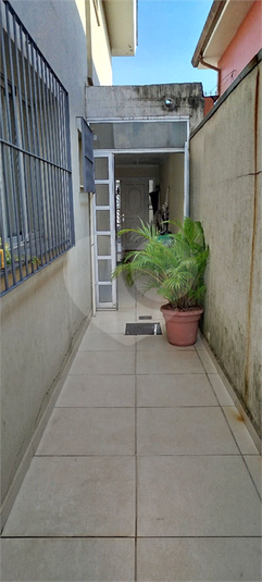 Foto REO1074557