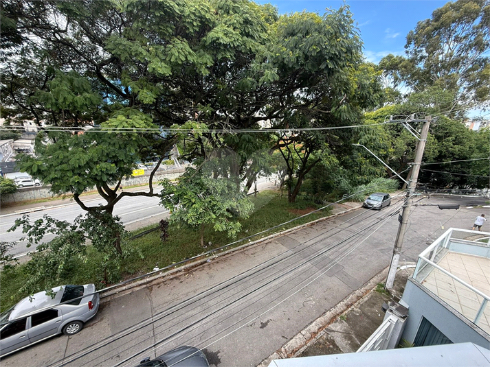 Foto REO1074563