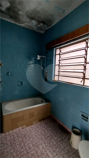 Foto REO1074589