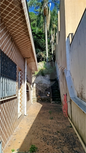 Foto REO1074589