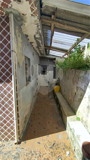 Foto REO1074589