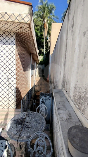 Foto REO1074589