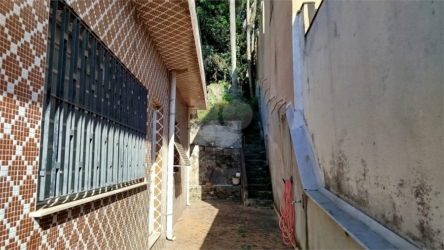 Foto REO1074589