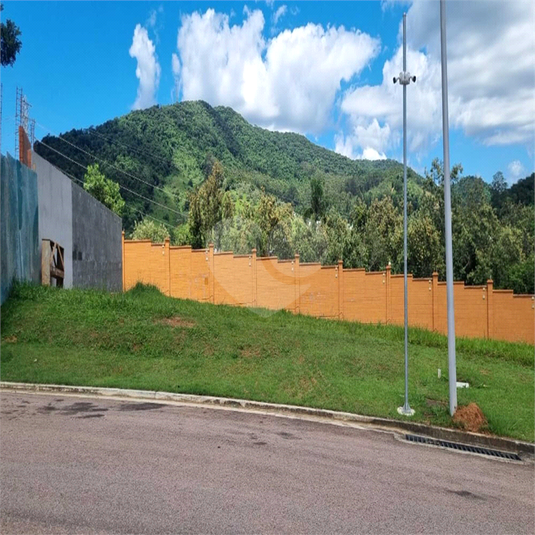 Foto REO1074591