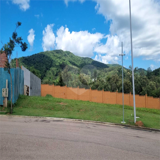 Foto REO1074591