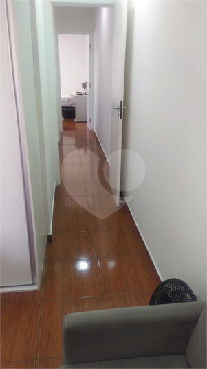 Foto REO1074606