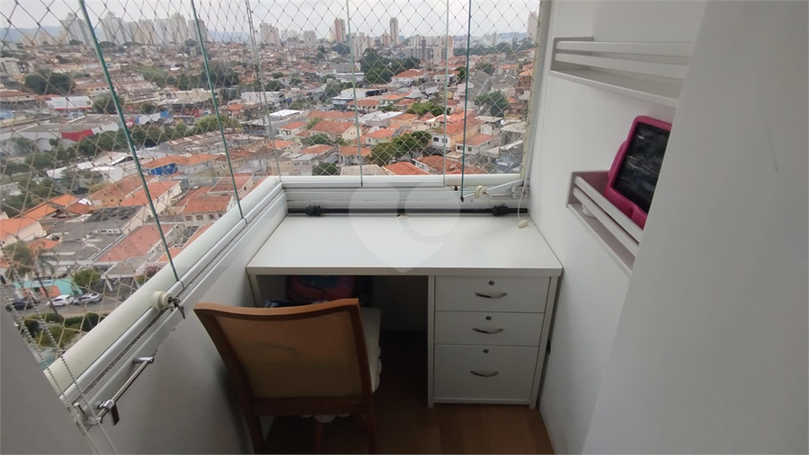 Foto REO1074623