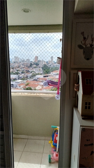Foto REO1074623