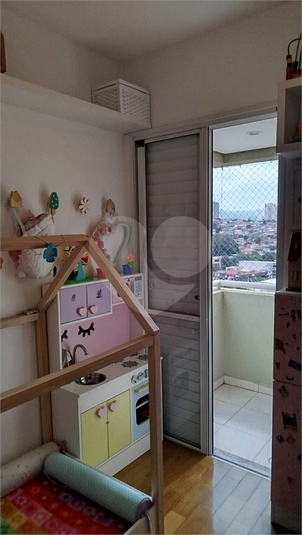 Foto REO1074623
