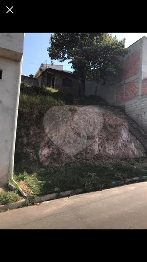 Foto REO1074645