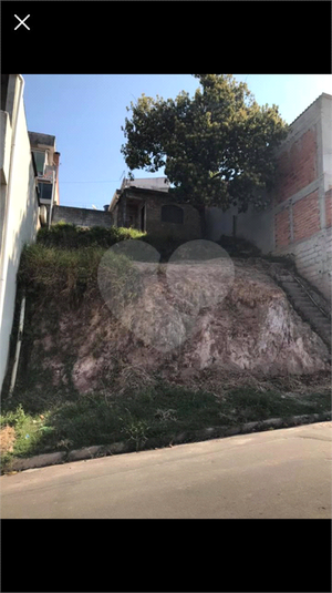 Foto REO1074645