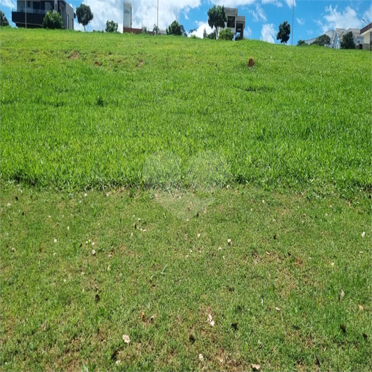 Foto REO1074646