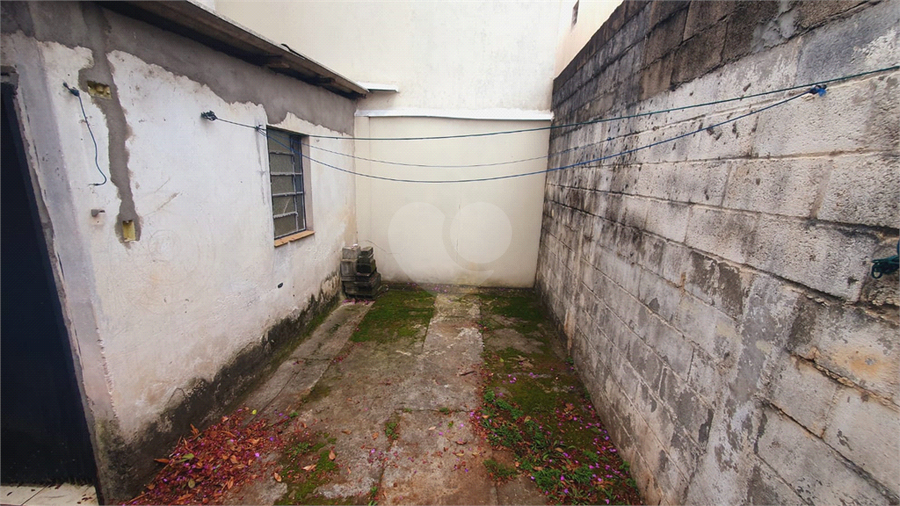 Foto REO1074665