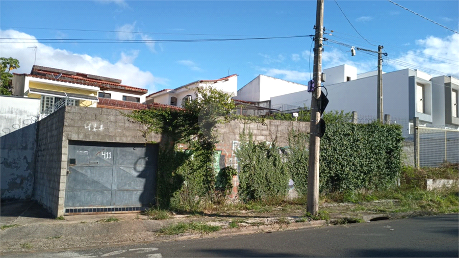 Foto REO1074673