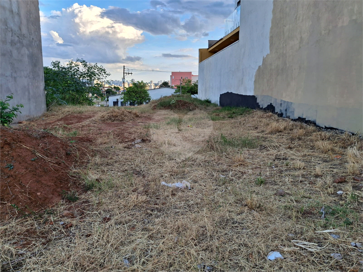 Foto REO1074688