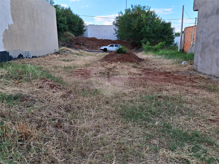 Foto REO1074688