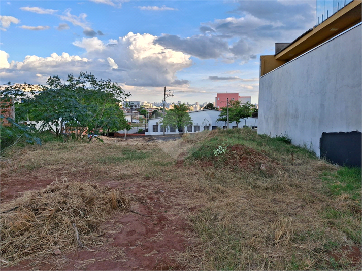 Foto REO1074688