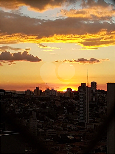 Foto REO1074699