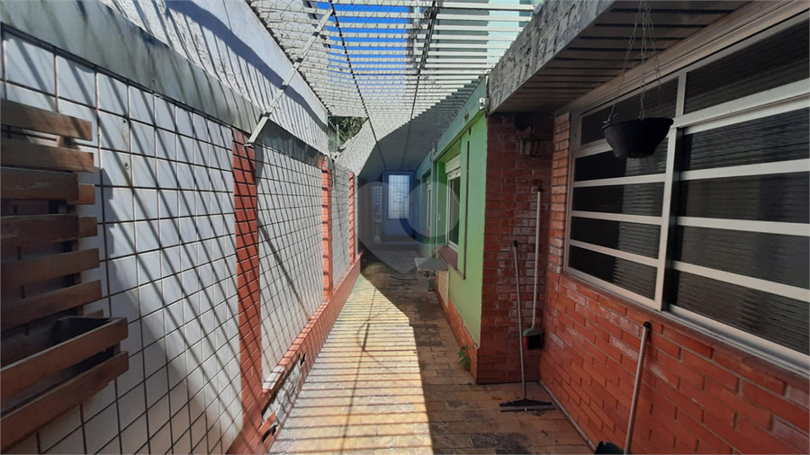 Foto REO1074700