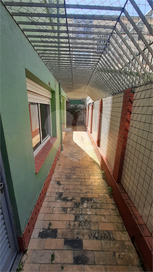 Foto REO1074700